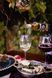 Эксклюзивная дегустация вин от Chateau Pauk для туристических групп tasting фото 4