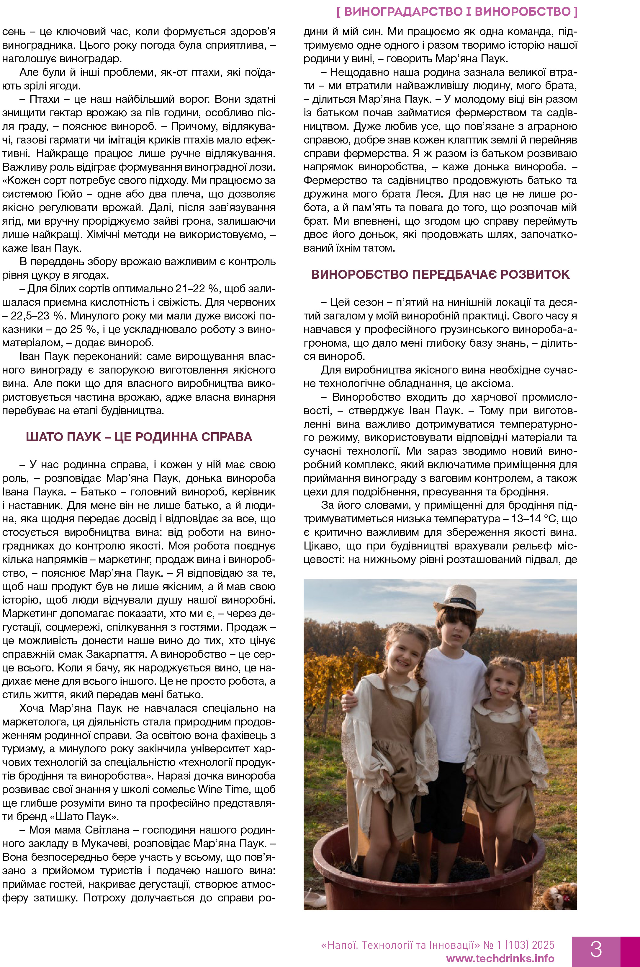 Chateau Pauk статья страница 3